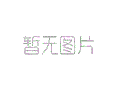 共聚網(wǎng)信力量，共繪灣區(qū)藍(lán)圖